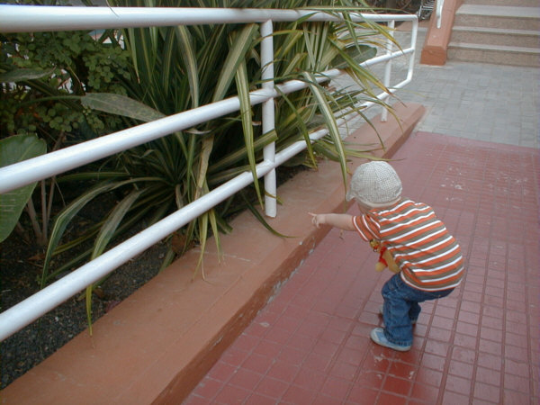 240304a.jpg