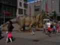 0105a.jpg