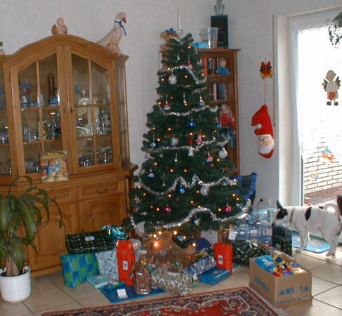 241203a.jpg