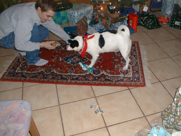 241203f.jpg