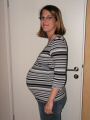 bauch10.jpg