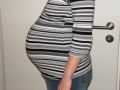bauch11.jpg