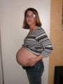 bauch13.jpg