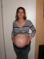 bauch14.jpg