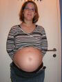 bauch5.jpg