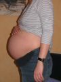 bauch9.jpg
